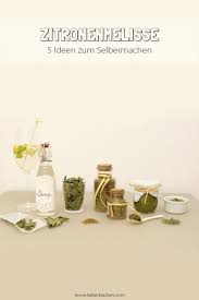 Zitronenmelisse 5 Rezeptideen Zum Selbermachen Lieberbacken Zitronenmelisse Zitronenmelisse Rezepte Rezeptideen