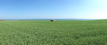 Pill Box Viewed From Happisburgh Lighthouse Lighthouse Views Natural Landmarks