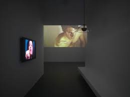 As an aggregator, we need to upload the latest episode as fast as we can because it is a part of what the aggregator website has to do. Julia Stoschek Collection Heartbeat Armpit