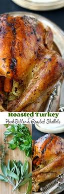 Injection marinades can be used with traditional turkey marinades, turkey rubs, and even turkey brines. 13 Turkey Marinade Ideas Turkey Turkey Recipes Turkey Marinade