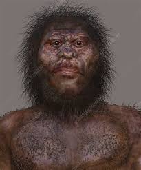 Homo naledi is a strange mosaic of the ancient and the thoroughly modern. Aufgabe Abitur Homo Naledi Homo Naledi New Species Of Human Ancestor Discovered Cnn Impressions On The Inner Surface Of Skull Fragments Reveal Parts Of Homo Naledi S Brain Chantelle Cane