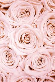 Pastel iridescent galaxy nebula stars heavens celestial. Spring Wallpapers 35 Free Hd Download Spring Wallpaper Wallpapers In 2021 Rose Gold Wallpaper Wallpaper Iphone Roses Rose Wallpaper