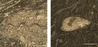 Thin Section Photomicrographs Of Sample 7 3 Lower Member Of Augusta Download Scientific Diagram