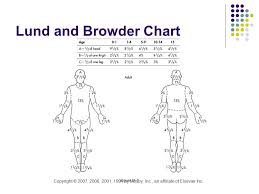 Interventions For Clients With Burns Burn Injury 10 000