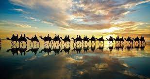 These 3 tours include accommodation and return direct flights via. Broome Sights With Sunset Camel Ride Australia Vacation Goway