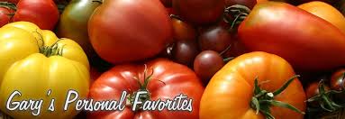 Serve the grilled skirt steak and relish with salad greens for a quick and healthy dinner you'll want to make over and over. Gary Ibsen S Personal Favorite Heirloom Tomato Seeds