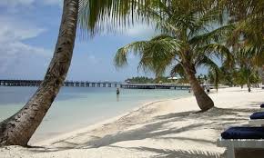 Check spelling or type a new query. San Pedro 2021 Best Of San Pedro Belize Tourism Tripadvisor