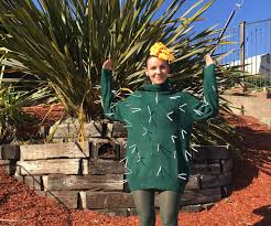 Find more costume ideas at www.aleenes.com/. Easy No Sew Cactus Costume 4 Steps With Pictures Instructables