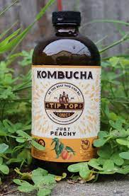Meet The Maker Tip Top Tonics Kombucha In 2021 Kombucha Kombucha Flavors Tea Bottle