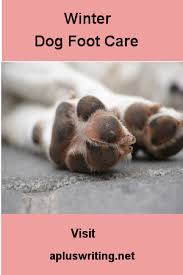 Winter Dog Foot Care Feet Care Pet Care Tips Dog Paws