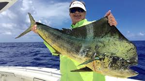 We would like to show you a description here but the site won't allow us. Brevard Woman Lands Giant 73 3 Pound Bull Dolphin