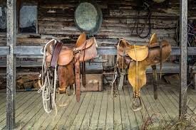 what western saddle seat size do i need