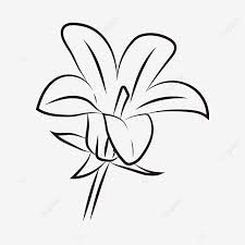 The thigh split will flutter in the breeze as you walk. Black And White Line Little Lily Flower Clipart Black And White Black And White Flower Flat Png And Vector With Transparent Background For Free Download