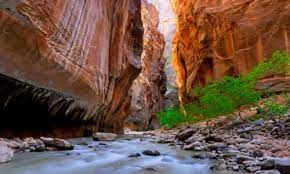 Virgin River Zion Narrows National Parks Zion National Park Utah National Parks
