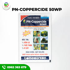 PN-Coppercide 50WP