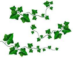 Vine Leaves Decoration Png Clipart Picture Vine Drawing Flower Art Painting Flower Painting