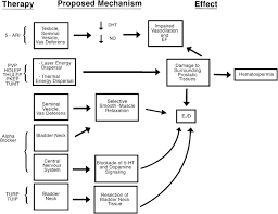 Medical therapy for benign prostatic hyperplasia: Benign Prostatic Hyperplasia Treatment Options And Their Effects On Sexual Function Sexual Medicine Reviews