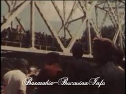 Už se vám někdy stalo, že jste měli v hlavě vymyšlený příběh, dokonce jste si i sepsali osnovu, vymysleli zápletku a charakteristiku postav a následně jste se pustili. Podul De Flori Basarabia Bucovina Info Video Dailymotion