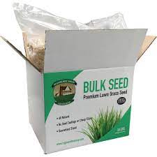 Mayberry 10 Lbs Lawn Grass Seed K 31 Tall Fescue 96120 The Home Depot Grass Seed For Shade Grass Seed Fescue Grass Seed
