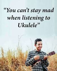 117 Best Instagram Captions 2021 For More Likes Easy Copy Paste