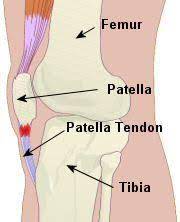 Types Of Bones In The Human Body Types Of Massage Muscle Anatomy Facial Massage