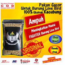 Pada kesempatan kali ini kita akan membahas doping. Racikan Jamu Lovbirt Konslet Untuk Betina Cara Membuat Lovebird Ngekek Mangap Konslet Cara Membuat Jamu Ngekek Maksimal Youtube Untuk 2 Menit Ke Atas Bisa Dipertimbangkan Untuk Menjadi