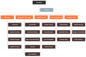 hr department org chart template