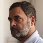 Bankruptcy: A Feast for Lawyers|Sol Stein.