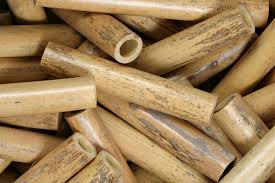 Image result for Reed