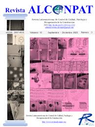 Electrochemical realkalinization applied to carbonated concrete samples  under the criteria of three standards