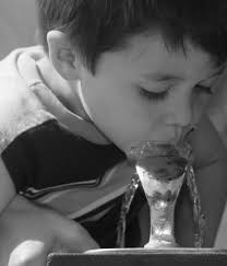 2018 Membership Directory