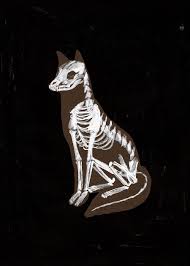 Halloween cat skeleton drawing by sudowoodo 2/120. This Isn T Happiness Le Renard Jen Collins Peteski Skeleton Illustration Animal Skeletons Animal Drawings