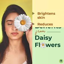 🌼Daisy is a lovely reminder of how beautiful change can truely be! ✨,  🌼Incorporating daisy flower into your skin care regime might get you one  step closer to that perfect radiant skin! , Daisy Flower ...
