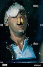 A fish called wanda hi-res stock photography and images