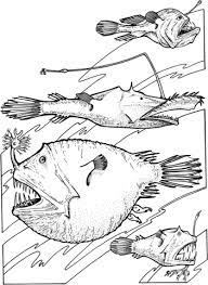 You will find such sea creatures as shark, whale, crab, seal, colorful fish, walrus, orca, seahorse, octopus and many more. Deep Sea Angler Fishes Coloring Page Free Printable Coloring Pages Horse Coloring Pages Deep Sea Animals Fish Coloring Page