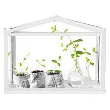 my new mini greenhouse from ikea ikea flowers mini greenhouse ikea
