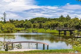 The site owner hides the web page description. å°æ±è…³è¸è»Šæ™¯é»ž å°æ±æµ·æ¿±å…¬åœ' å°æ±æ£®æž—å…¬åœ'å–®è»ŠéŠ è·Ÿè'—é›ªå€«æ„›å‡ºèµ°