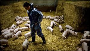 A U.S. Hog Giant Transforms Eastern Europe