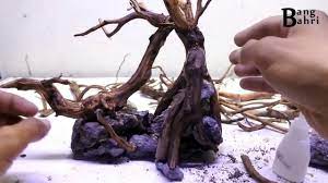 Tutorial Membuat Bonsai Aquascape Rasamala 2a Youtube In 2021 Aquascape Bonsai Nano Aquarium
