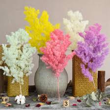 Maybe you would like to learn more about one of these? Yunnan Wholesale Real Asparagus Flower Bouquet Dried Flower Myrioeladus Pine Leaves Preserved Flower Arrangements Buy Pine Leaves Preseved Asparagus Myrioeladus Product On Alibaba Com