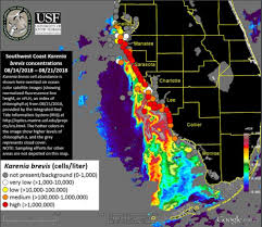 Florida Gulf Coast Red Tide Stifles Tourism And Vacation