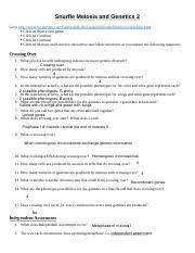 Snurfle meiosis worksheet answer key page 2. 1 Alexandra Fouch Snurfle Meiosis And Genetics 2 Worksheet 1 Snurfle Meiosis And Genetics 2 Go To Course Hero