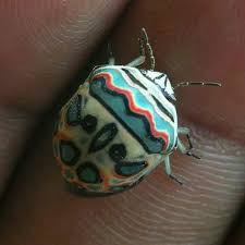 Pin On Bitsofknowledge