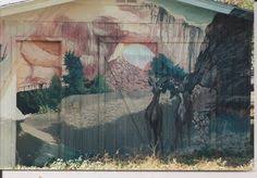 David dalton was born in 1952 in pontiac, michigan. 49 My Art Ideas My Arts Art Mural Painting
