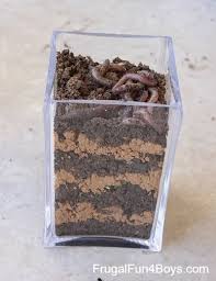 Make A Worm Observation Jar Frugal Fun For Boys And Girls Worms Science For Kids Learning Science