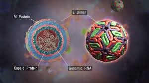It is caused by four different viruses and spread by aedes mosquitoes. Evolution Of Antibody Response To Dengue Virus Teased Out Technology Networks