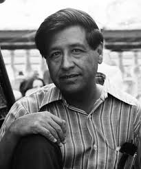 Joel Getz (brucegetz1)