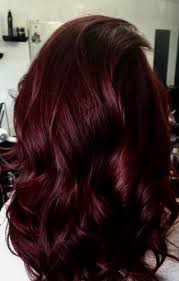 Beauty Wine Hair Maroon Burgundy Www Missquantum Com Missquantum Wine Hair Wine Hair Color Hair Styles