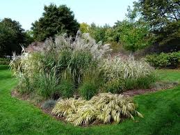 Sanfte Windspiele Gartengestaltung Mit Ziergrasern Garten Gartengestaltung Graser Im Garten