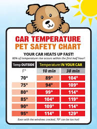 Car Temperature Safety Guide Sticker Made In The Usa